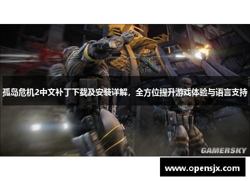 孤岛危机2中文补丁下载及安装详解，全方位提升游戏体验与语言支持