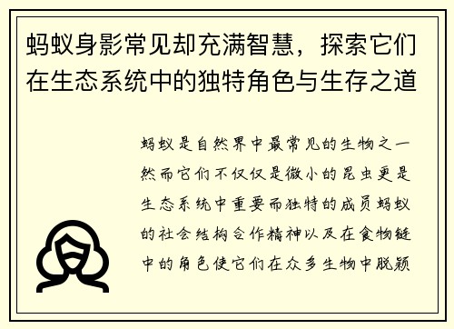 蚂蚁身影常见却充满智慧，探索它们在生态系统中的独特角色与生存之道